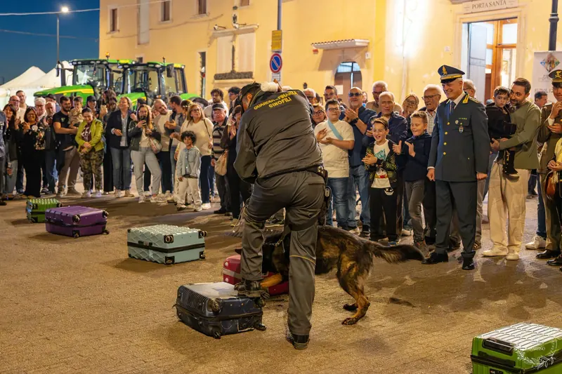 Il gruppo cinofili della Guardia di Finanza in piazza IV Novembre